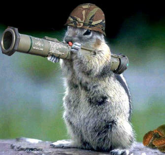 Rocket Squirrel