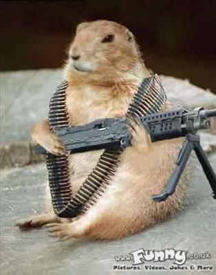 Heavy Gunner Squirrel