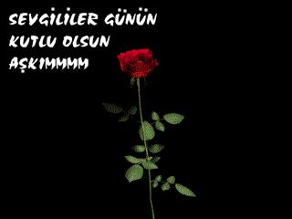 SEVGİLİLER GÜNÜ 