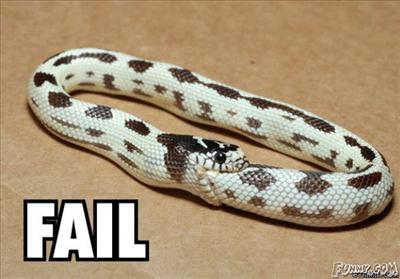 FAIL