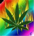 Weed