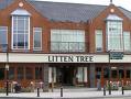 Litten Tree