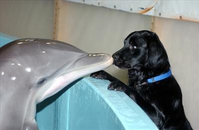 cute kiss