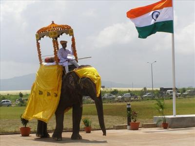 Elephant
