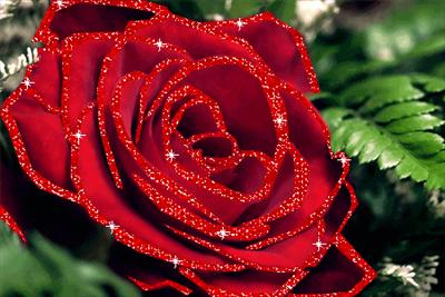 ı love you