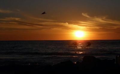 tropical sunset