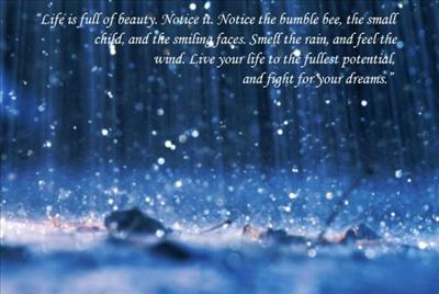 Rain Beauty