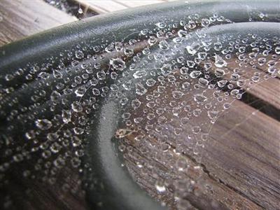 Love the rain
