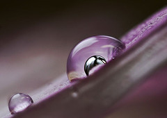 Drops of hope