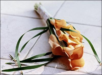 Orange Calla Lilies