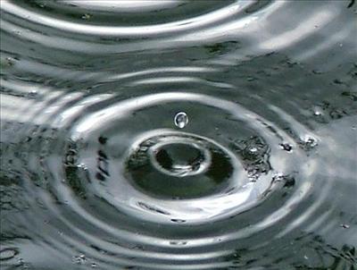 Rain Drops