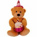 ''Happy Birthday'' Teddy