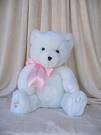 ''Christmas White'' Teddy