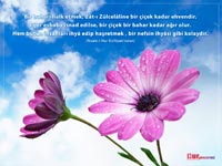 Hakikat Çekirdekleri