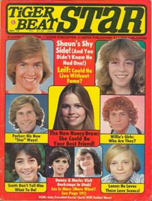 Tiger Beat Magazine