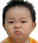  bebek