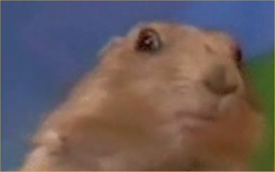 Crazy Hamster