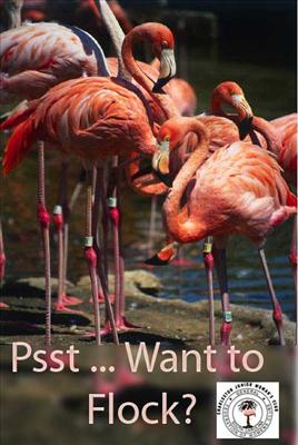 Pssst ... Wanna Flock? Contact CJWC