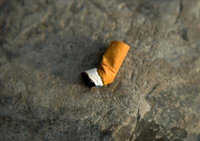 Cigarette Butt