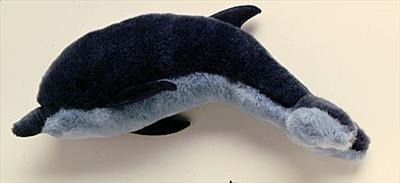Dolphin