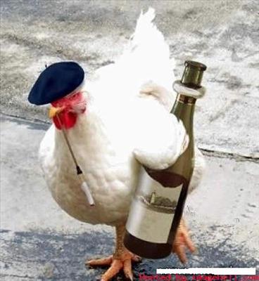 alkolük horoz