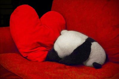 Panda ve kalp