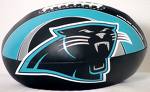 panthers football