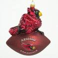 cardinals football