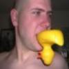daniels pengies