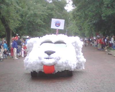 Dog Car