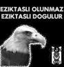 Anti Bjk