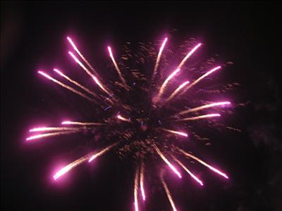 Pink Fireworks