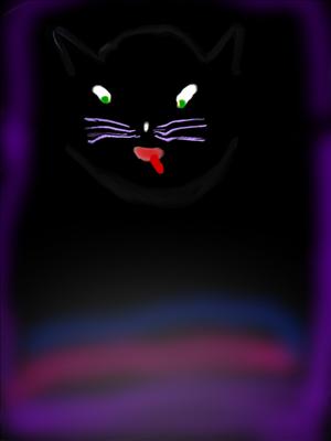 Snippy Black Cat
