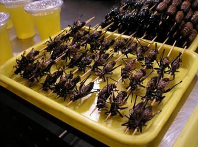 Cooked Crickets