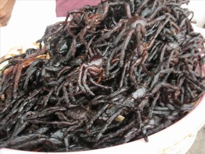 Fried Tarantulas
