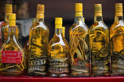 Snake Wine