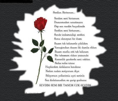 SEVDİM BİRTANEM