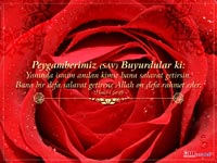 gül