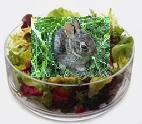 Bunnie Salad