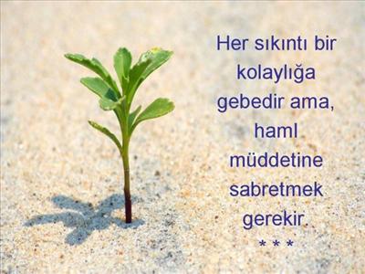 BAKKALAZİZ17 ÜMİT ET