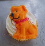 orange dog