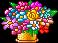 Flover1