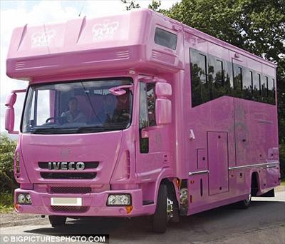 *The Pink Horse Box*