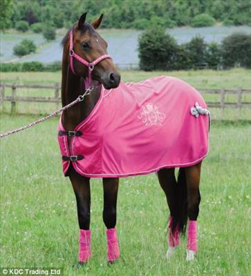 Pink Travel set 