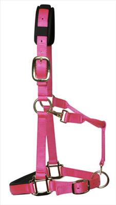 Pink head collar