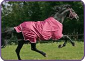 Pink lightweight Turnout Rug