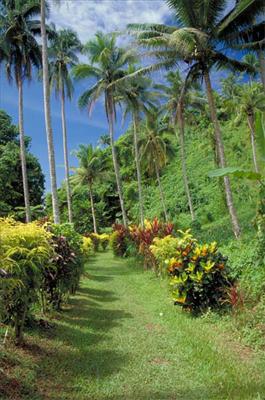 Tropic Pathway