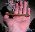 Blunt