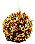fresh pecan