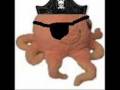 Pirate Hauptopus